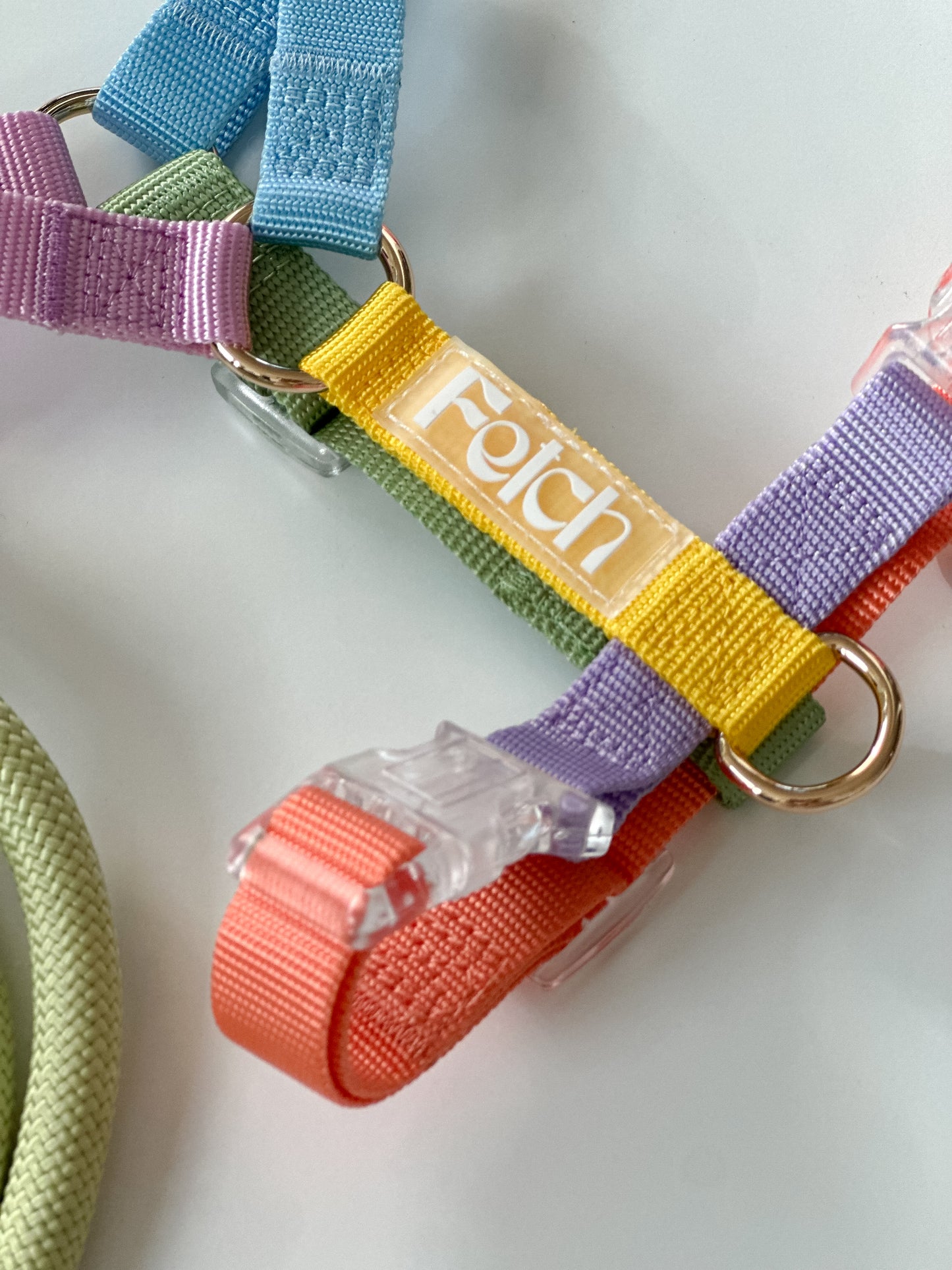 Color Pop | Honden Harnas