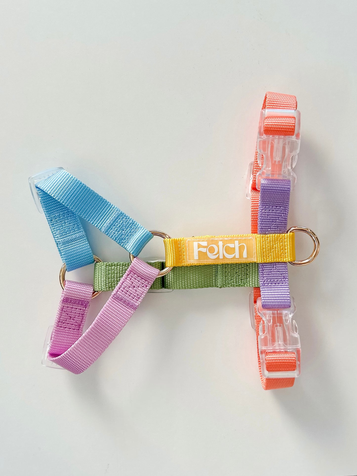 Color Pop | Honden Harnas