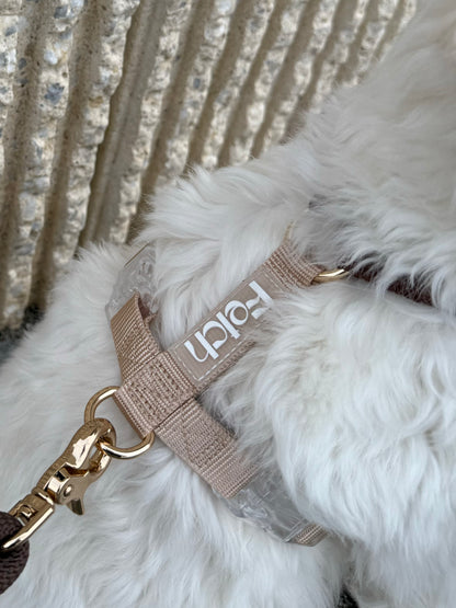 Mocha | Honden Harnas